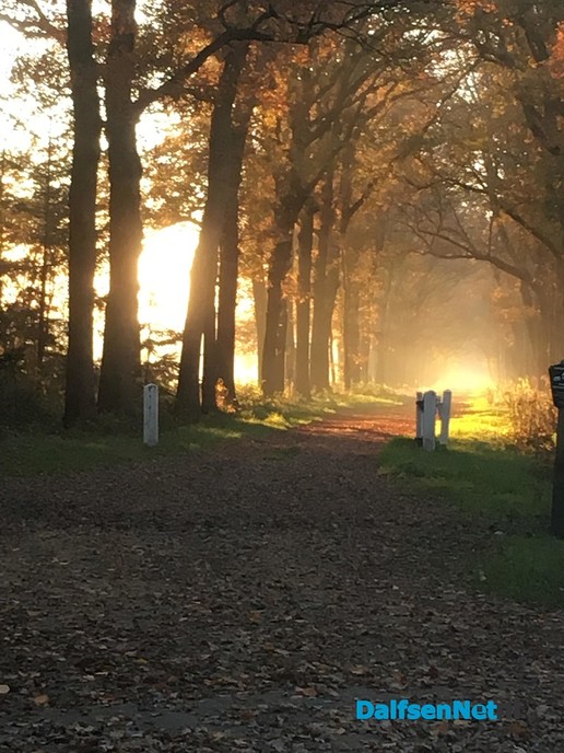Zomaar een herfst impessie - Foto: Ingezonden foto