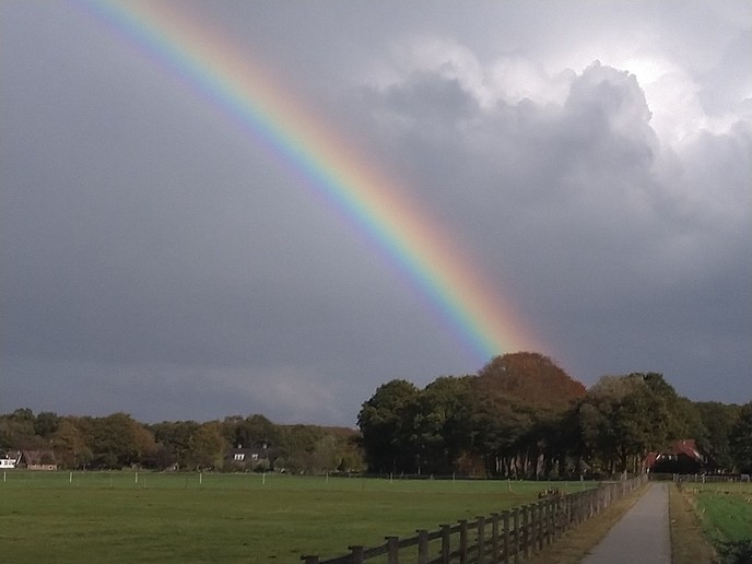 Prachtige natuurbeelden - Foto: Eigen geleverde foto