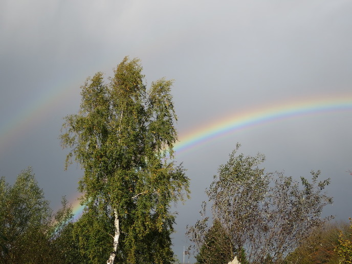 Prachtige natuurbeelden - Foto: Eigen geleverde foto