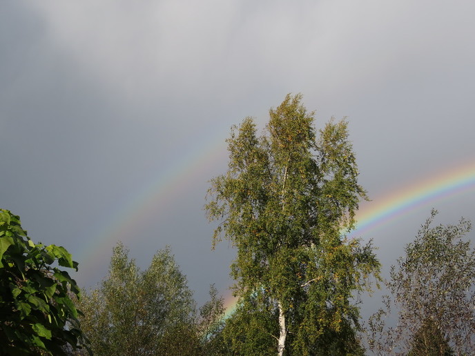 Prachtige natuurbeelden - Foto: Eigen geleverde foto