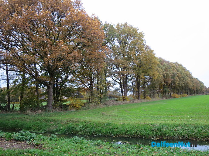 Herfst… De blaadjes regenen naar beneden - Foto: Wim