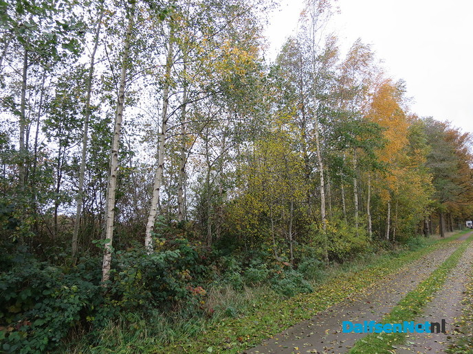 Herfst… De blaadjes regenen naar beneden - Foto: Wim