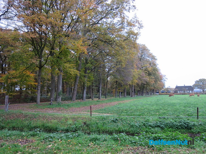 Herfst… De blaadjes regenen naar beneden - Foto: Wim