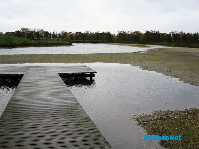 Herfst… De blaadjes regenen naar beneden - Foto: Wim