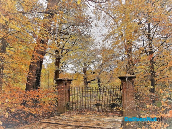 Herfst… De blaadjes regenen naar beneden - Foto: Wim