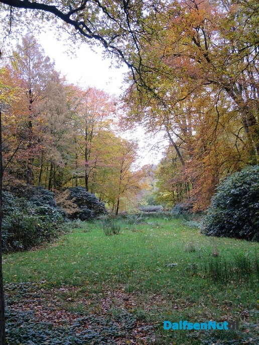 Herfst… De blaadjes regenen naar beneden - Foto: Wim