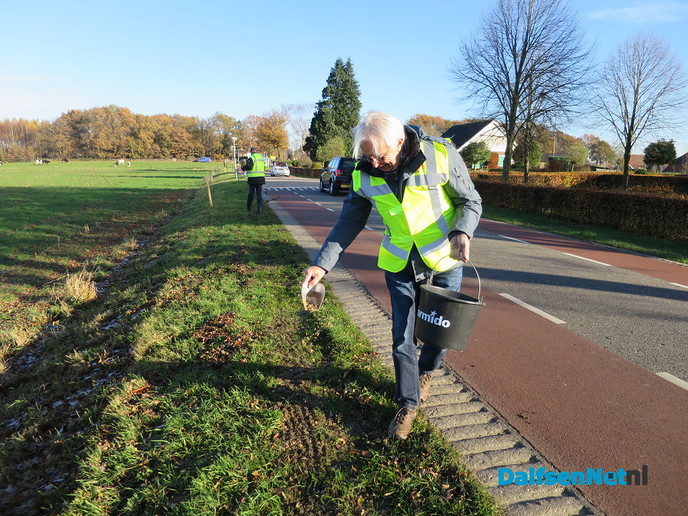 Bloeiend glasvezel rond Hoonhorst - Foto: Wim