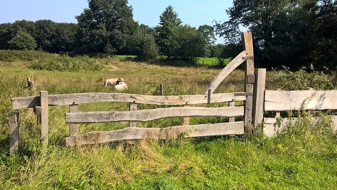 Rondjes op de motor door Overijssel: ken je deze routes al?