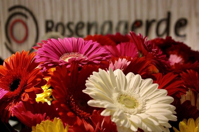 Rosengaerde zet mantelzorgers in de bloemetjes