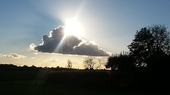 Prachtige natuurbeelden - Foto: Eigen geleverde foto