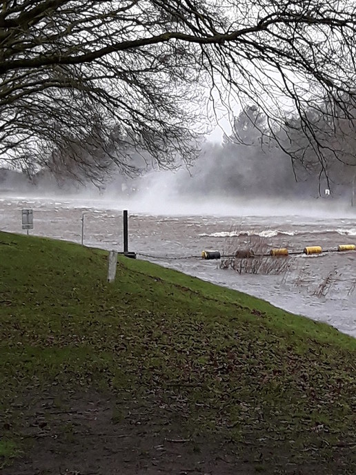 Vechtoever moet vrij van obstakels voor waterafvoer - Foto: Eigen geleverde foto