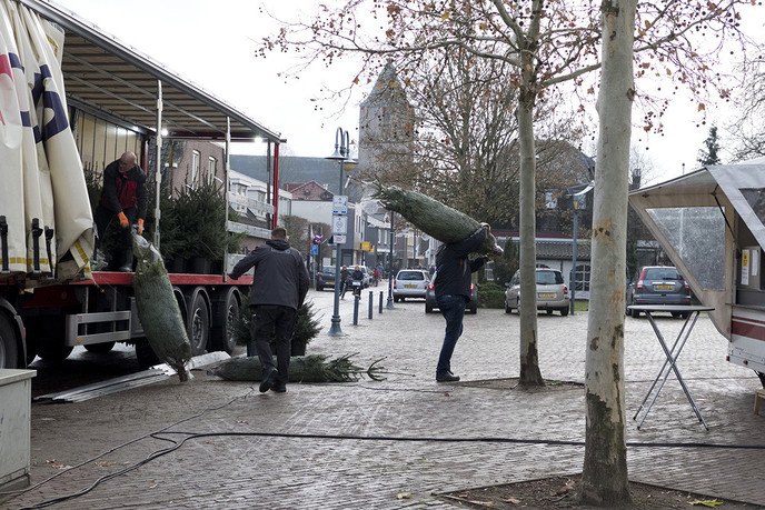 De mooie kerstbomen zijn weer gearriveerd… - Foto: Geert Bistervels