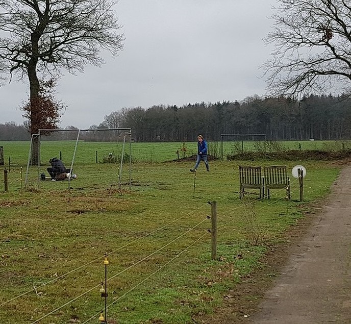 Gaat dat wel goed? - Foto: Gruune Jopie