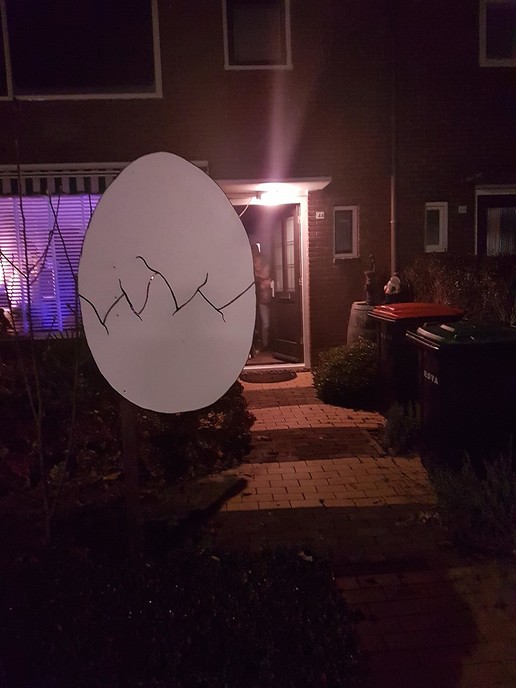 Ei lijkt gebarsten - Foto: Eigen geleverde foto