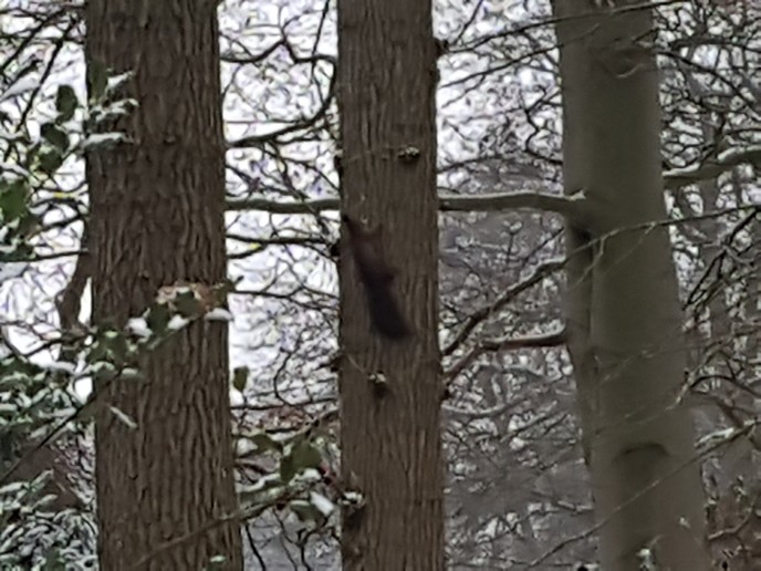 Eerste sneeuwfoto’s komen binnen, met update