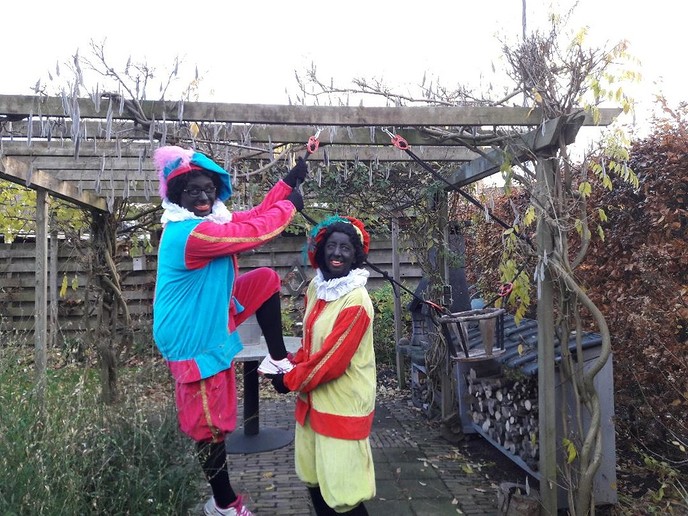 Pietengym bij SVDGym - Foto: Eigen geleverde foto