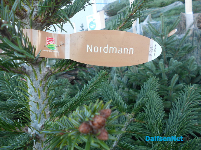 Kerst: de handel is er klaar voor