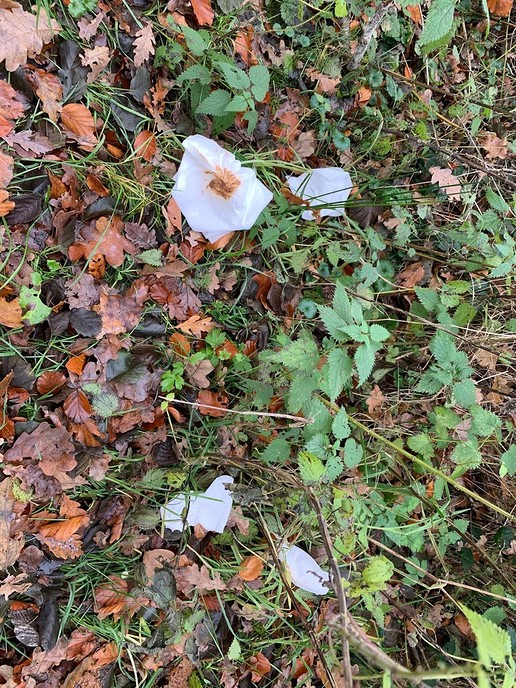 Genieten in het Vechtdal, is niet altijd bal - Foto: Eigen geleverde foto