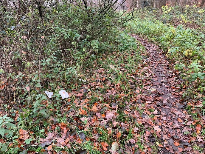 Genieten in het Vechtdal, is niet altijd bal - Foto: Eigen geleverde foto