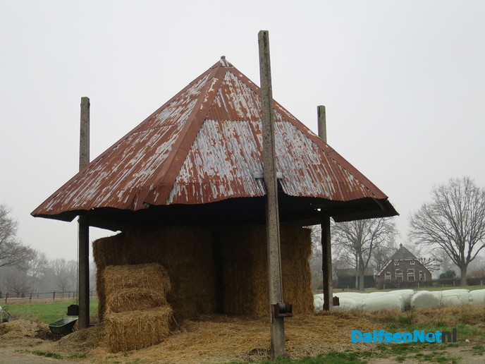  Kerstwandeling Omheining Heino: ruim 1200 deelnemers - Foto: Wim