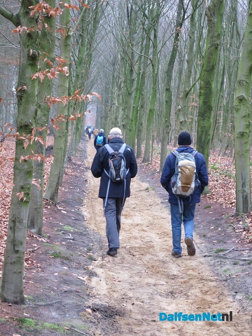 10e GreenShoes wandeling groot succes - Foto: Wim