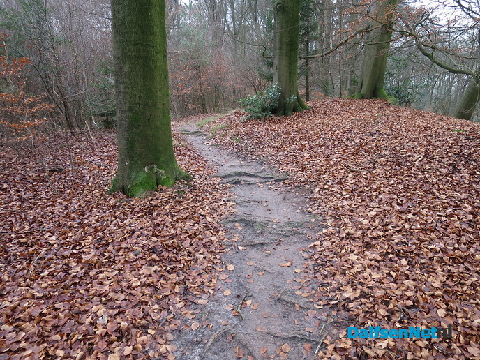 10e GreenShoes wandeling groot succes - Foto: Wim