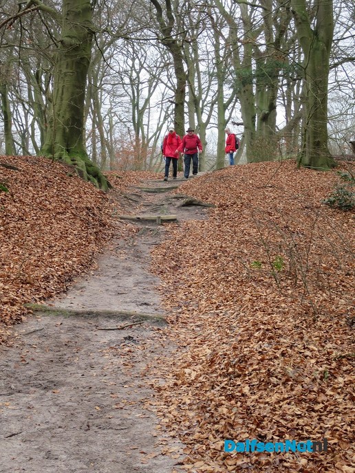 10e GreenShoes wandeling groot succes - Foto: Wim