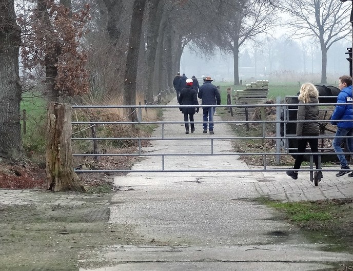 De Palthehof Kerstwandeling - Foto: Eigen geleverde foto