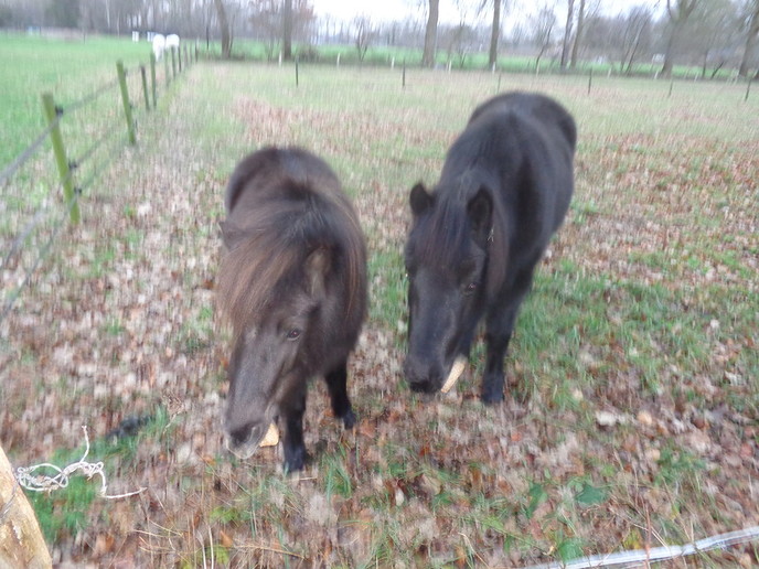 Natuurlijke, bescheiden wensen - Foto: Eigen geleverde foto