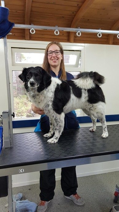 Iedere hond is welkom bij Rianne