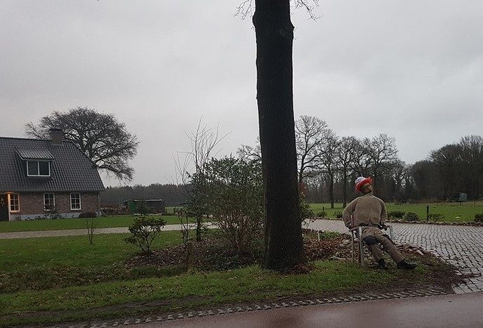 Pop aan de wandel - Foto: Gruune Jopie