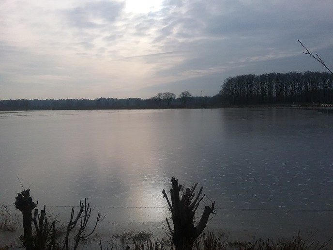 Wachten op diepvrieskou, maar die is onderweg - Foto: Eigen geleverde foto