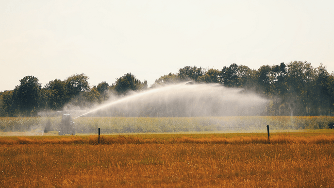 Evaluatie droogte: “Watervraag was extreem groot” - Foto: Eigen geleverde foto