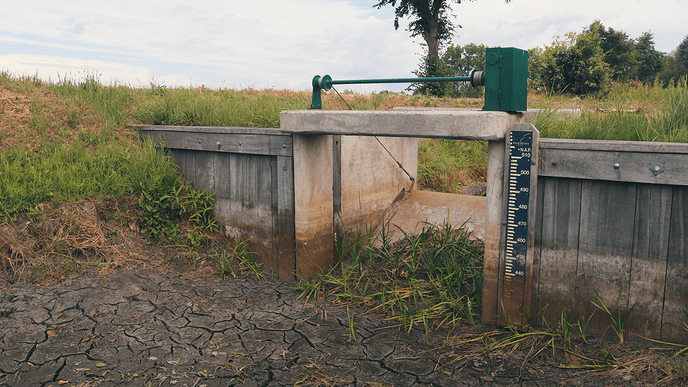 Evaluatie droogte: “Watervraag was extreem groot” - Foto: Eigen geleverde foto