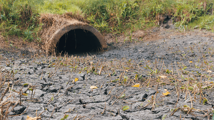 Evaluatie droogte: “Watervraag was extreem groot” - Foto: Eigen geleverde foto