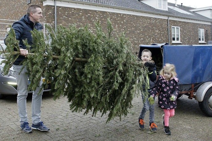 Record inzameling kerstbomen - Foto: Paul Scholten