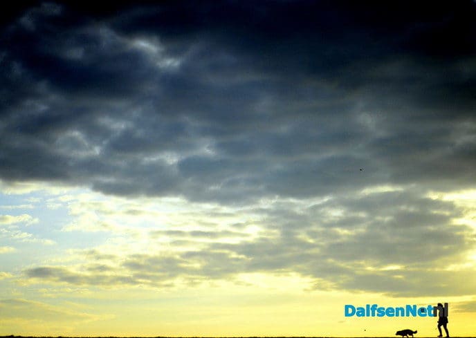 Stilleven en wandelen op Bellingeweer - Foto: Ben Jonkman