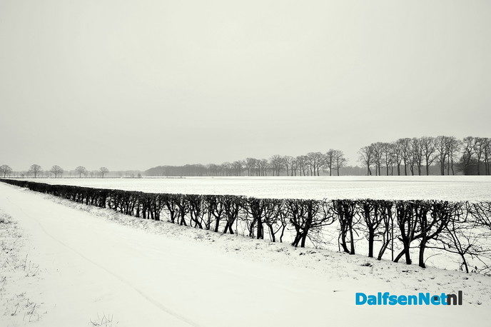 Prachtige winterbeelden van Ben Jonkman - Foto: Ben Jonkman