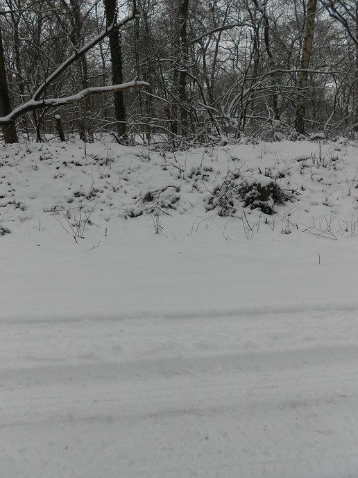 Winter in Dalfsen - Foto: Eigen geleverde foto