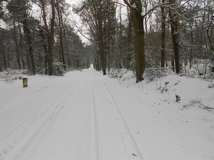 Winter in Dalfsen - Foto: Eigen geleverde foto
