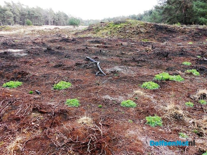 Met de buren het bos in voor natuuronderhoud