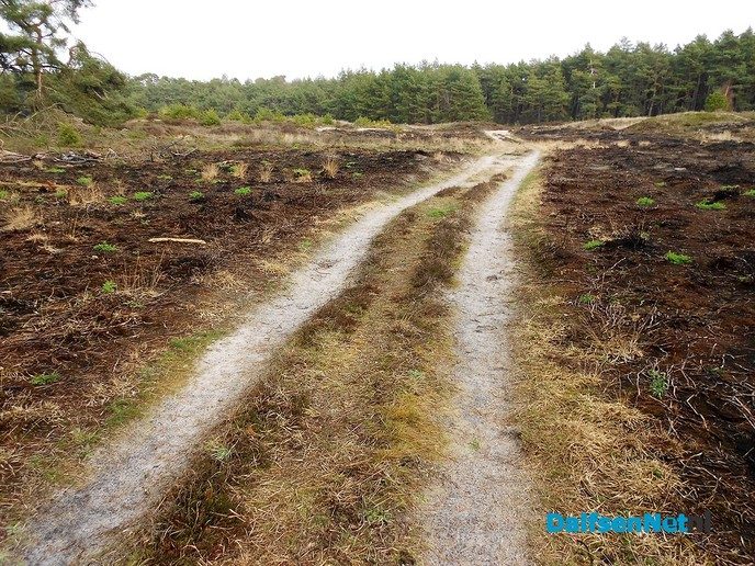Met de buren het bos in voor natuuronderhoud