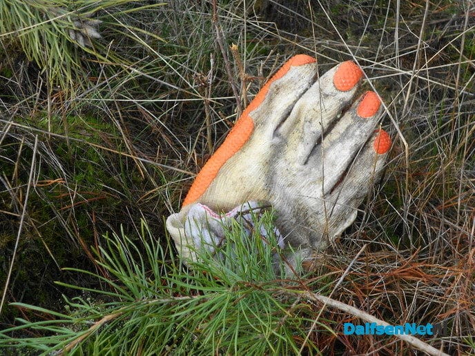 Met de buren het bos in voor natuuronderhoud