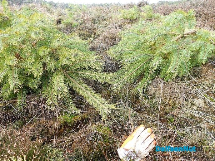 Met de buren het bos in voor natuuronderhoud
