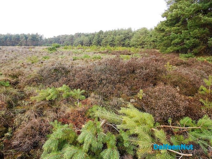 Met de buren het bos in voor natuuronderhoud