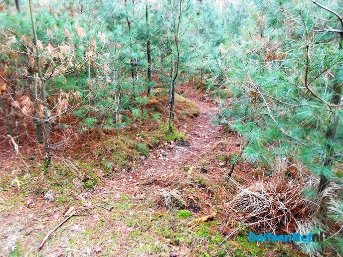 Met de buren het bos in voor natuuronderhoud