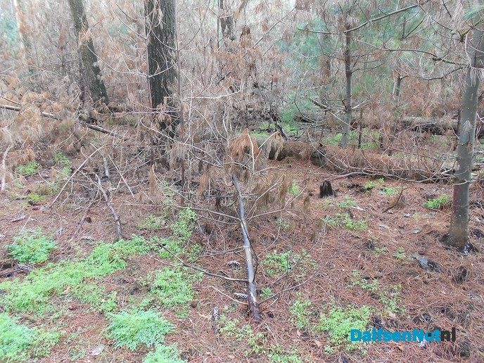 Met de buren het bos in voor natuuronderhoud
