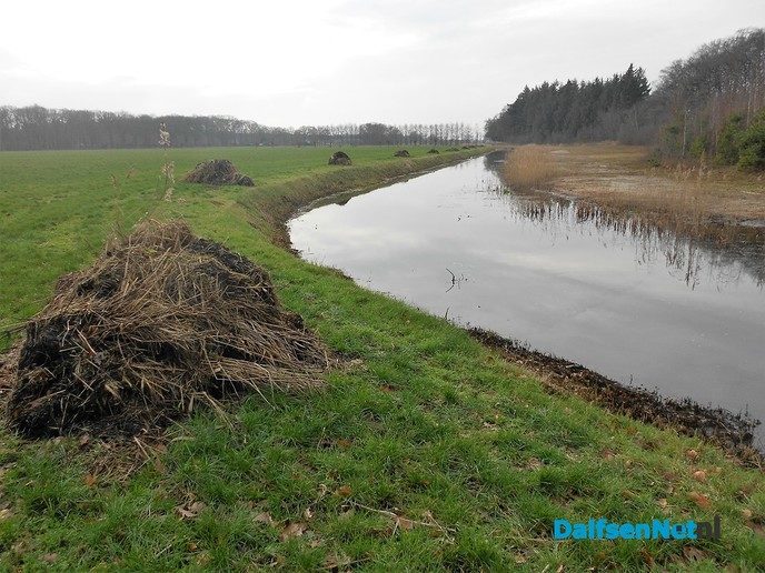 Nog meer werken in de natuur