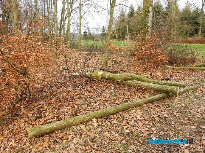 Nog meer werken in de natuur