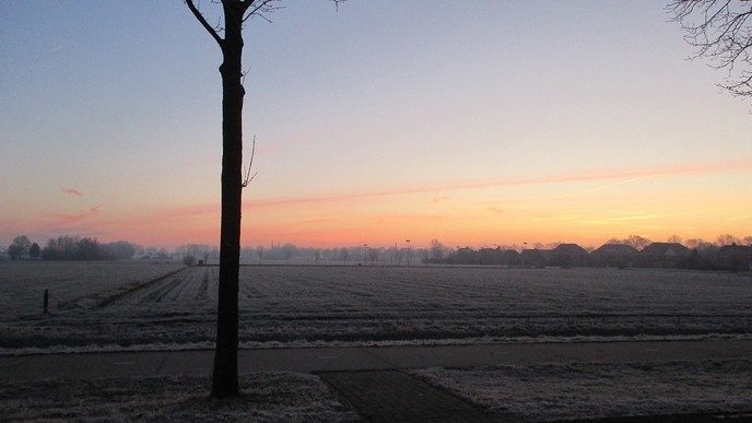 Janine Schiphorst ging met de camera op pad - Foto: Eigen geleverde foto